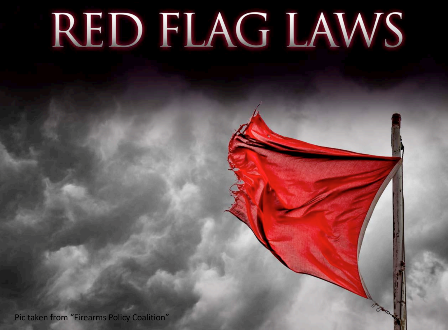 red-flag-law-an-infringement-of-2nd-amend-west-mobile-area-eagle